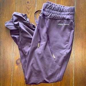 Whitney Simmons Joggers and Cropped Hoodie Set